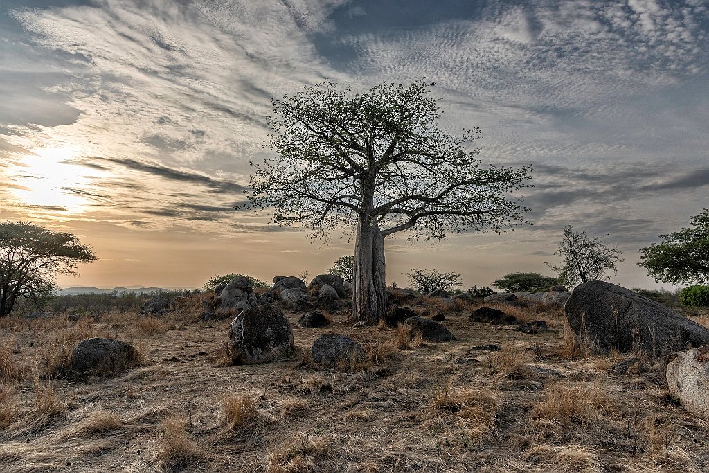 BIANCO VINCENZO SEMPLICEMENTE AFRICA.JPG